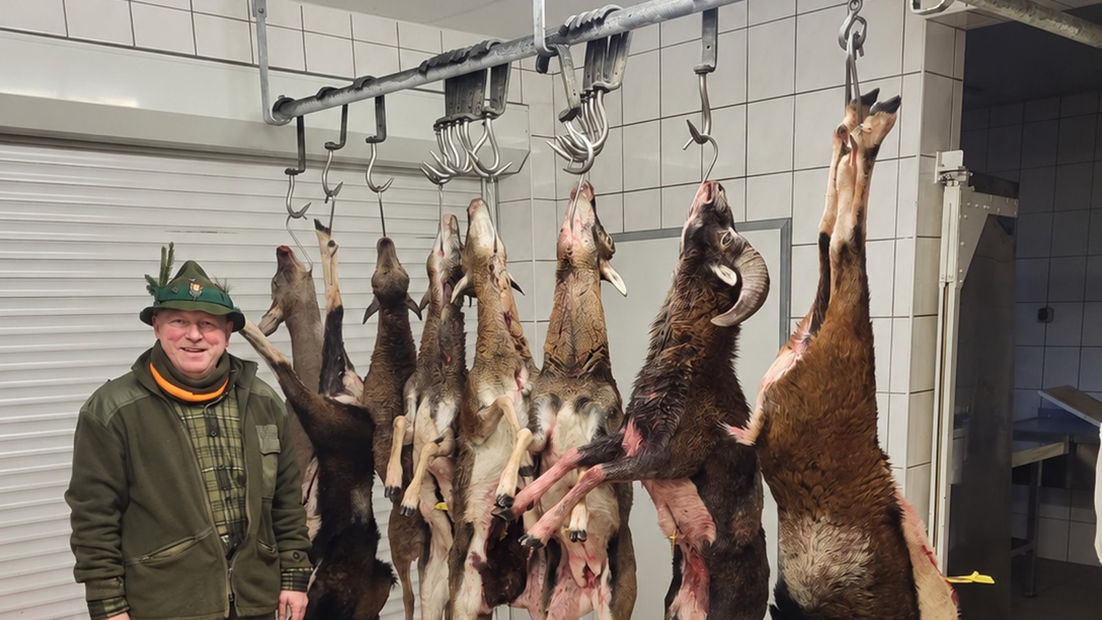 Ingo Kittelmann in der Wildkammer nach erfolgreicher Bewegungsjagd — Reh und Muffelwild aufgehängt